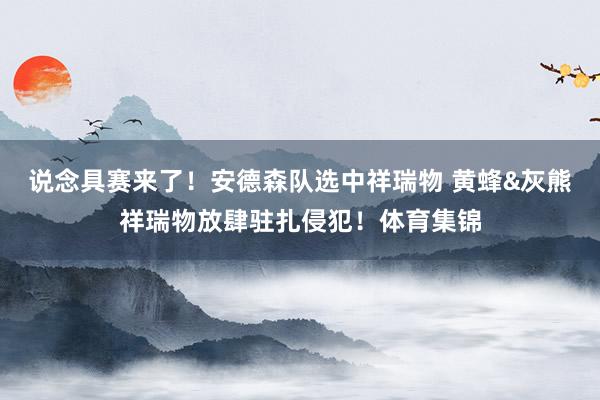 说念具赛来了！安德森队选中祥瑞物 黄蜂&灰熊祥瑞物放肆驻扎侵犯！体育集锦