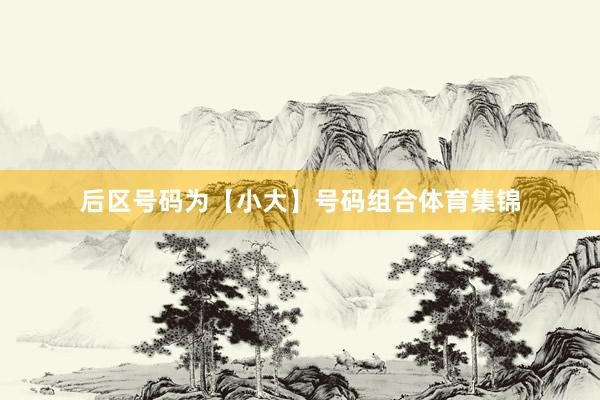 后区号码为【小大】号码组合体育集锦