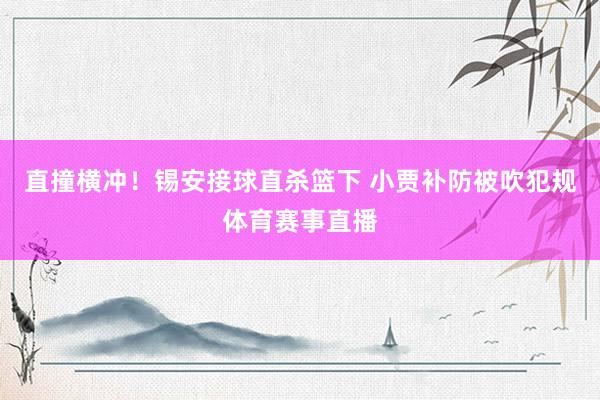 直撞横冲！锡安接球直杀篮下 小贾补防被吹犯规体育赛事直播