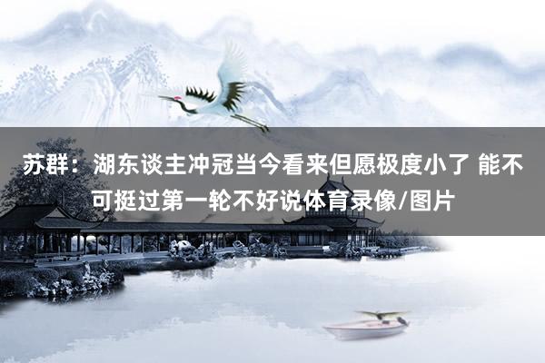 苏群：湖东谈主冲冠当今看来但愿极度小了 能不可挺过第一轮不好说体育录像/图片