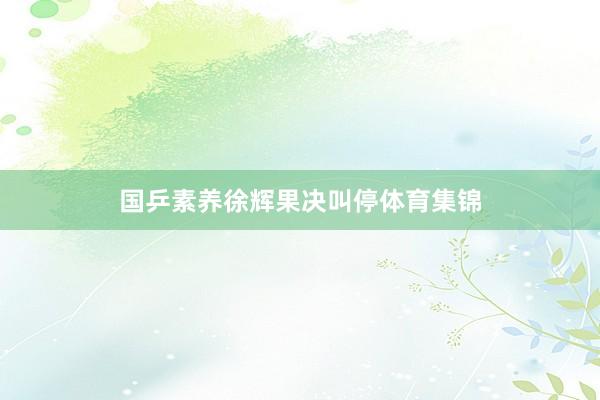 国乒素养徐辉果决叫停体育集锦