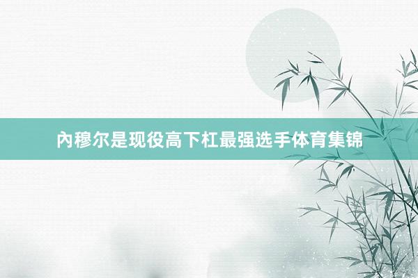 內穆尔是现役高下杠最强选手体育集锦