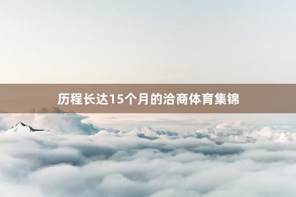 历程长达15个月的洽商体育集锦