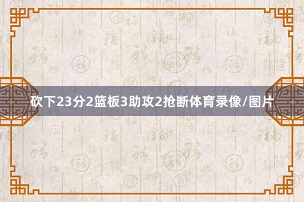 砍下23分2篮板3助攻2抢断体育录像/图片