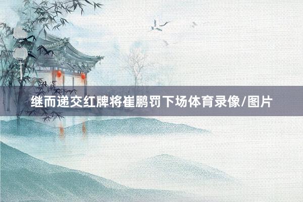 继而递交红牌将崔鹏罚下场体育录像/图片