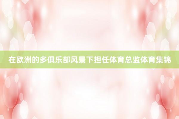 在欧洲的多俱乐部风景下担任体育总监体育集锦