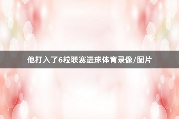他打入了6粒联赛进球体育录像/图片