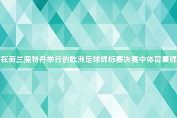 在荷兰鹿特丹举行的欧洲足球锦标赛决赛中体育集锦