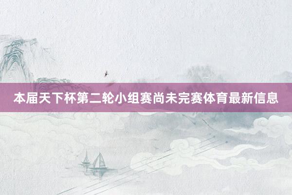 本届天下杯第二轮小组赛尚未完赛体育最新信息
